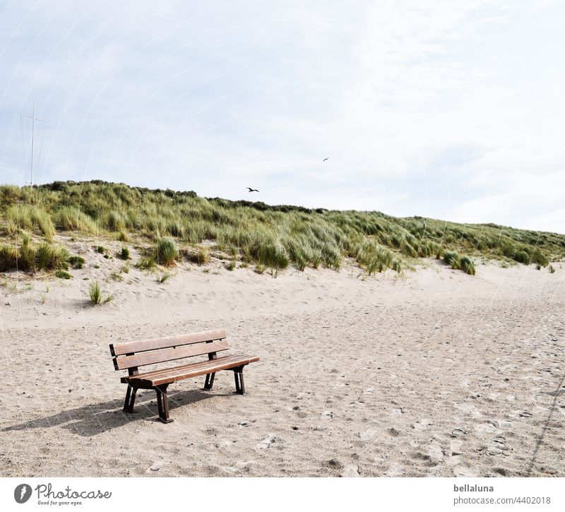 Düne vor Helgoland - Entspannung pur Farbfoto Außenaufnahme Natur Küste Umwelt Tag Strand Menschenleer Meer Nordsee Wasser Insel Licht natürlich Urelemente nass