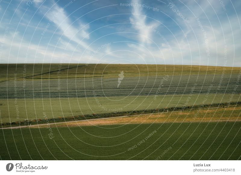 Landschaft, Landstraße und blauer Himmel mit lichten Wolken Felder Sommer Sommerzeit weit Weite Horizont Schönes Wetter Tag Außenaufnahme Menschenleer