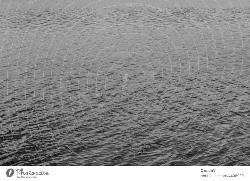 Wasseroberfläche in Schwarzweiß Schwarzweißfoto Natur Umwelt Seeufer ruhig Oberfläche Wellen Wind element Elemente Meer nass Segeln Wassersport Hintergrund
