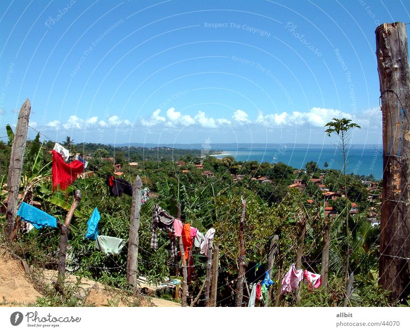 Itaparica Insel Strand Meer Wasser Brasilien Amerika Südamerika Zaun Sonne Ferien & Urlaub & Reisen Wäsche Palme Wolken Sommer