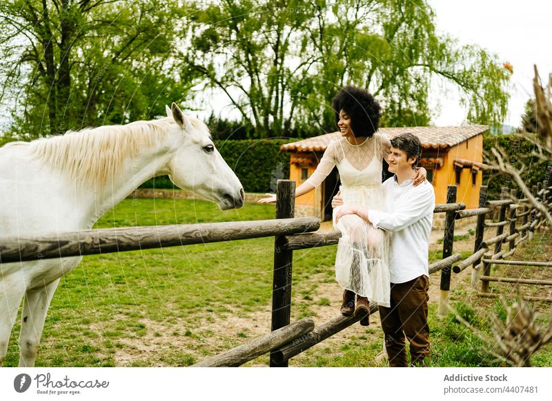 Ein gemischtrassiges Paar streichelt ein Pferd, das hinter einem Zaun auf einer Koppel weidet. Landschaft Sattelkammer sich[Akk] melden Gehege Ranch