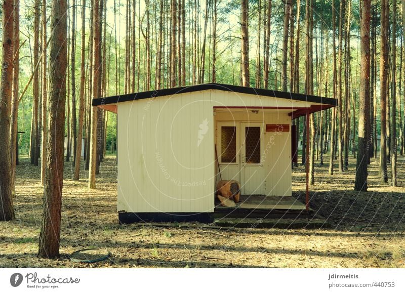 hütte Ferien & Urlaub & Reisen Sommer Haus Natur Baum Wald Hütte Mauer Wand Fassade Terrasse Fenster Tür Dach Erholung retro Farbfoto Außenaufnahme Menschenleer