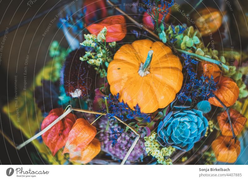 Langsam wird es herbstlich.... Bunte Dekoration mit Zierkürbis Herbst Halloween Kürbis Zuhause Jahreszeit bunt Dekoration & Verzierung orange Gemüse