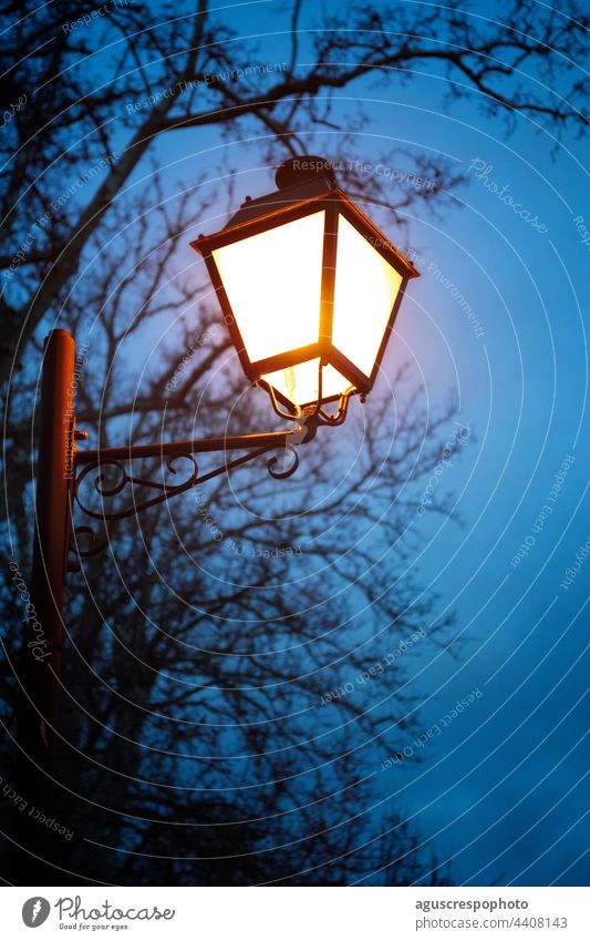 mit warmem Licht beleuchteter Laternenpfahl bei Einbruch der Dunkelheit am bläulichen Nachthimmel in einer Allee mit Bäumen lichtvoll Straßenlaterne Park Szene