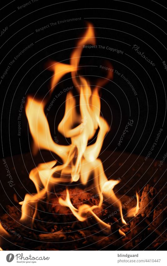 2022 and the fire still burns Flamme Feuer Glut Holz brennen Feuerstelle Wärme Brand Außenaufnahme gefährlich schwarz Licht gelb heiß glühend Menschenleer rot