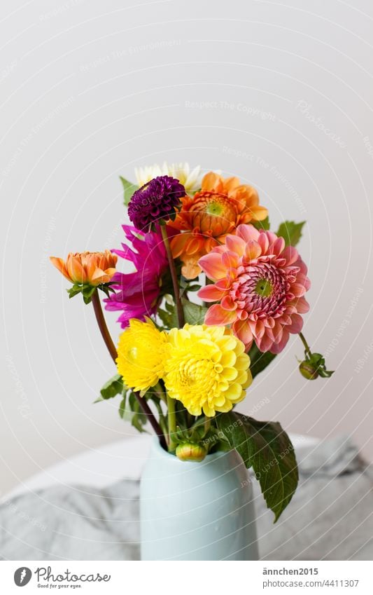 Ein bunter Strauss Dahlien auf einem Tisch Blume Blumenstrauß Herbst Sommer Vase Vase mit Blumen Blüte Dekoration & Verzierung Blühend Innenaufnahme grün