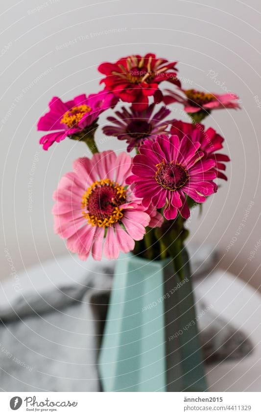 rosafarbene Blumen in einer türkisen Vase stehen auf einem Tischchen Sommer Herbst Blumenstrauß Natur Blüte grün tisch Dekoration & Verzierung Innenaufnahme