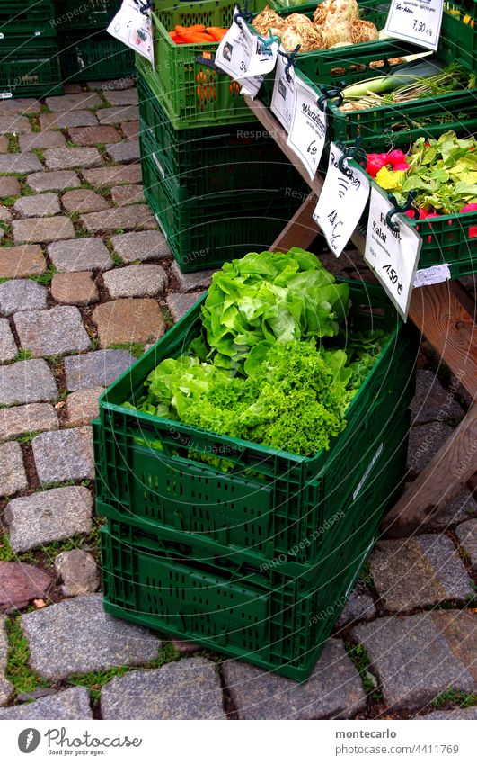 Da haben wir den Salat |Marktfrische Salate| MT Dresden 2021 Gesundheit Ernährung Vegetarische Ernährung Gemüse Lebensmittel nachhaltig Außenaufnahme Qualität
