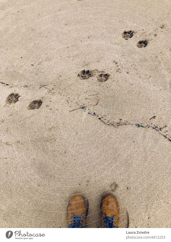 Die Stiefel und die Hundepfotenabdrücke Stiefel auf dem Boden Sand Strand Pfote Pfoten Pfotenabdruck Pfotenabdrücke Haustier Tag Strandspaziergang Spaziergang