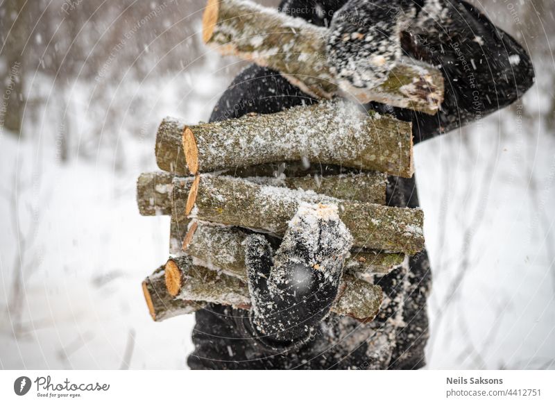 Hand mit geschnittenem Brennholz im Wald, Nahaufnahme, rohes Weißerle Brennholz im Schneefall Wintertag, Vorbereitung Holz für das nächste Jahr. Snowy kalten Januar oder Februar Abend. Menschen arbeiten mit den Händen