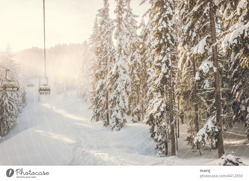 Besetzt | Sessellift in Winterlandschaft Sesselbahn Skilift Skifahren Wintersport Winterurlaub Schnee Ausflug Sport Ferien & Urlaub & Reisen Berge u. Gebirge