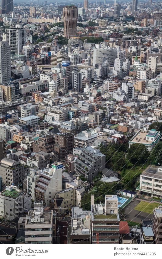 Kleiner Auschnitt  der Millionenstadt Tokio Japan Asien Hauptstadt Innenstadt Hochhäuser Tokyo Stadtzentrum Architektur Skyline Enge