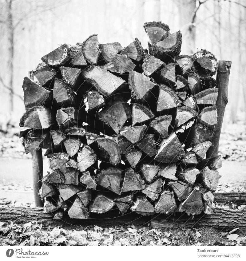 Holzstapel, Draufsicht in schwarz-weiß, im Wald Stapel Holzwirtschaft Holzstämme Forstwirtschaft Baum Bäume Schwarzweißfoto Baumstamm Nutzholz Abholzung