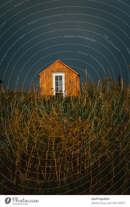 Strandhaus auf der hyggeligen Insel Ærø in Dänemark XII relaxation erholen & entspannen" Freiheit Sommer Außenaufnahme Ostsee Tourismus Hintergrund neutral