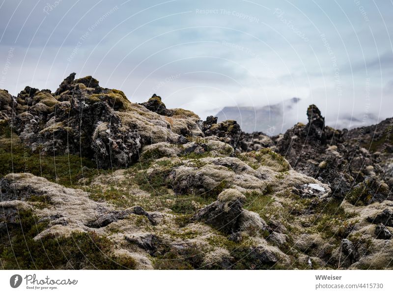 Hier rollte einmal glühende Lava über die Insel, jetzt ist alles still und kalt, die Flechten erobern die Landschaft Berg Vulkan Ausbruch Eruption vulkanisch