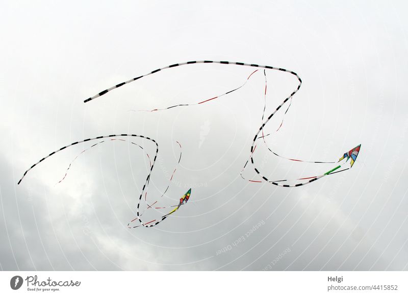 Drachentanz - zwei Lenkdrachen mit Schweif fliegen in Formation vor wolkigem Himmel Drachenfest Wolken Bänder Freude Spaß Freizeit & Hobby Wind Außenaufnahme