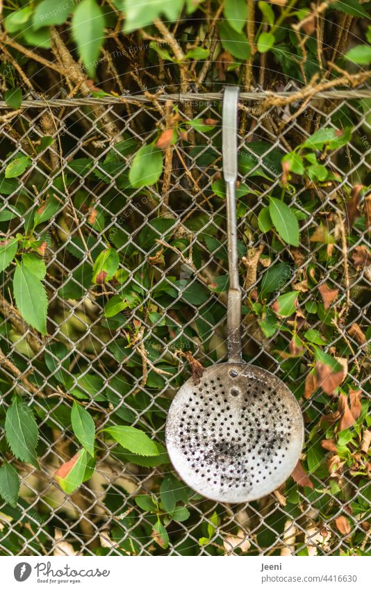 Schöpfkelle am Gartenzaun zum Grillkohle wenden umfunktioniert hängen Zaun Tag Maschendrahtzaun Küche küchenutensilien Draht Metall Drahtzaun Schutz Barriere
