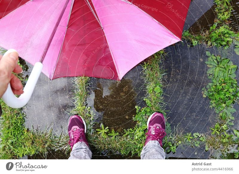 Die Füße einer Frau mit einem Regenschirm auf dem nassen Boden regenschirm frau füße beine pfütze wasser hand draußen regenwetter kalt feucht schuhe boden