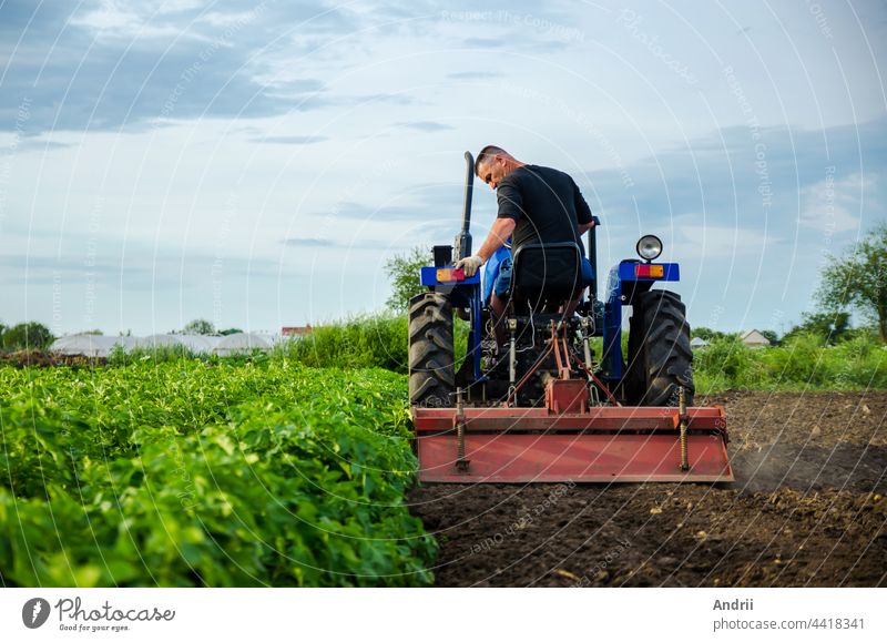 Ein Landwirt auf einem Traktor entfernt die Baumwipfel nach der Ernte. Entwicklung der Agrarwirtschaft. Ackerbau, Landwirtschaft. Auflockerung der Oberfläche, Bodenbearbeitung. Pflügen. Vorbereitung von Ackerland für eine neue Bepflanzung