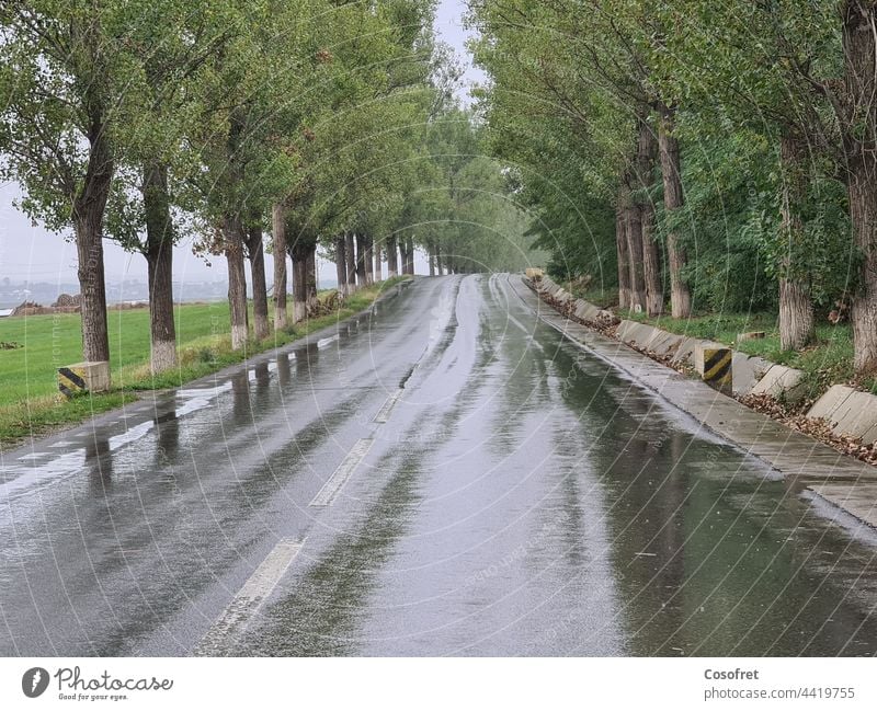 Der erste Regentag im September Cloud Straße Wolken Natur Gewitterwolken schlechtes Wetter