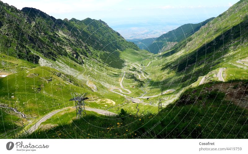 Berglandschaft Natur Sommer Europa Straße Baum malerisch