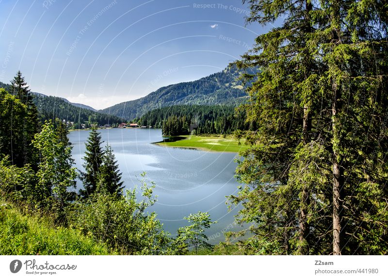 Spitzingsee Natur Landschaft Wolkenloser Himmel Sommer Schönes Wetter Baum Sträucher Alpen Berge u. Gebirge Seeufer ästhetisch Ferne natürlich blau grün ruhig