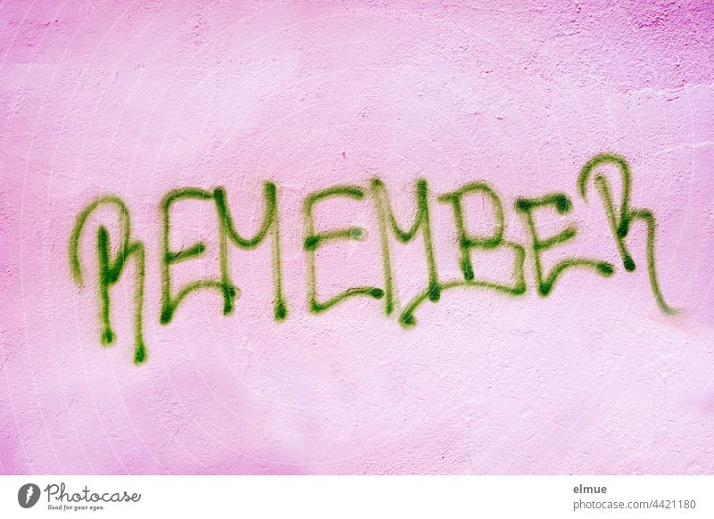 REMEMBER steht in grünen Großbuchstaben an der pinkfarbenen Wand / erinnern / Graffito remember bewahren Andenken Graffiti Handschrift sprayen lila Lifestyle