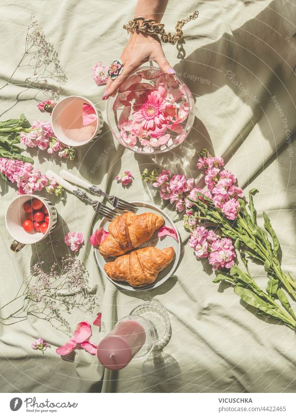 Ästhetisches Picknick am Sonnentag mit Croissants, Tee, Blumenstrauß aus rosa Blüten und Kerzen. Frauenhand hält Glasvase mit schwimmenden Blütenblättern. Ansicht von oben