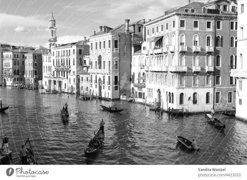 Schwarz/Weiß Fotografie von Venedig Canal le Grande historisch Städtereisen Sehenswürdigkeiten Kanal Wasserstraßen Gondeln Hochwasser Aqua Alta Schifffahrt