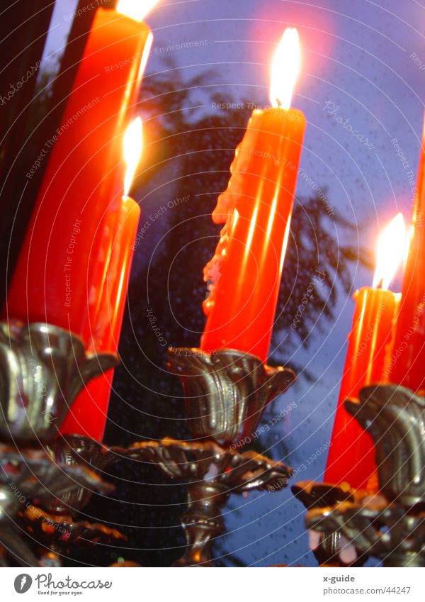 Kerzen im Regen Nacht Licht Baum Fenster rot Dinge Kerzenständer Wachs Wassertropfen Feuer