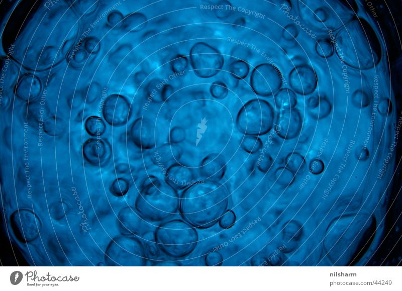 Blubb Sprudelsäule Makroaufnahme Nahaufnahme blau Blase blasen Wasser