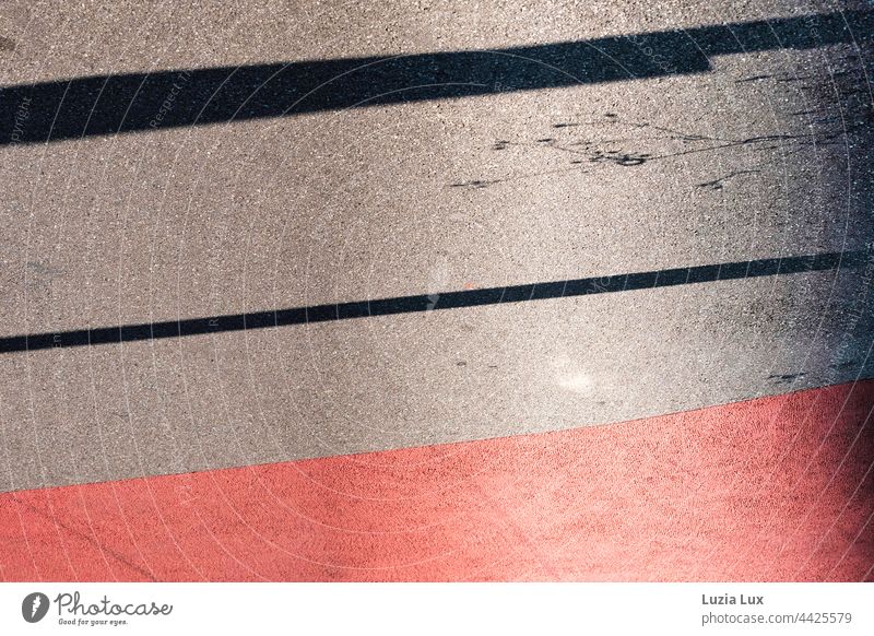 Gehwegmarkierung rot und grau, mit Schatten von zarten Halmen am Rand Sonnenlicht Sonnenschein hell grell Kontrast Sommer Fahrbahnmarkierung Gegenlicht Stadt