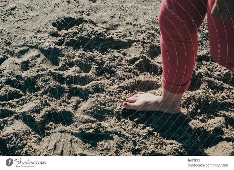 Barfuß am Nordseestrand Füße Sommer Meer Fuß Beine Zehen Haut erfrischend abkühlen abkühlung Erfrischung Erholung Mensch Frau Insel Küste Strand Wattenmeer