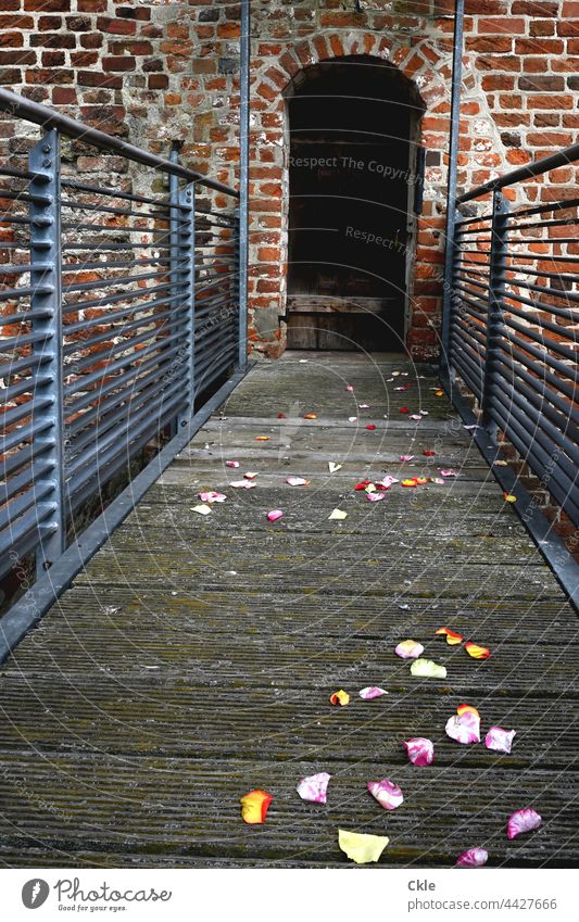 Blumiger Weg zu verschlossener Tür Blüten Mauerwerk Turm Gang Hochzeit Feier Überbleibsel Erinnerung Mittelalter Wand Bauwerk Architektur Fassade