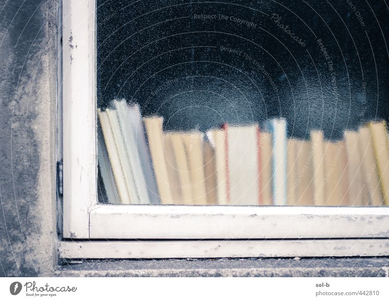 Bücher Erholung Freizeit & Hobby lesen Häusliches Leben Haus Bildung Schule Studium lernen Medien Buch Bibliothek Mauer Wand Fenster Glas alt einfach trist