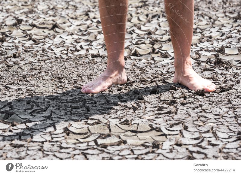 nackte Füße einer Person auf trockenem Boden ohne Pflanzen in Nahaufnahme Hintergrund schlechte Ökologie Barfuß Klima Risse Krise wüst Desaster Dürre trocknen