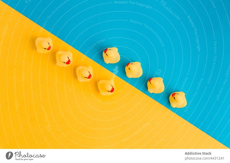 Niedliches Enten-Spielzeug in blauem Studio gelb Sommer Konzept aufblasbar spielen Reihe Gummi Bad Spaß pulsierend hell folgen farbenfroh Kulisse niedlich