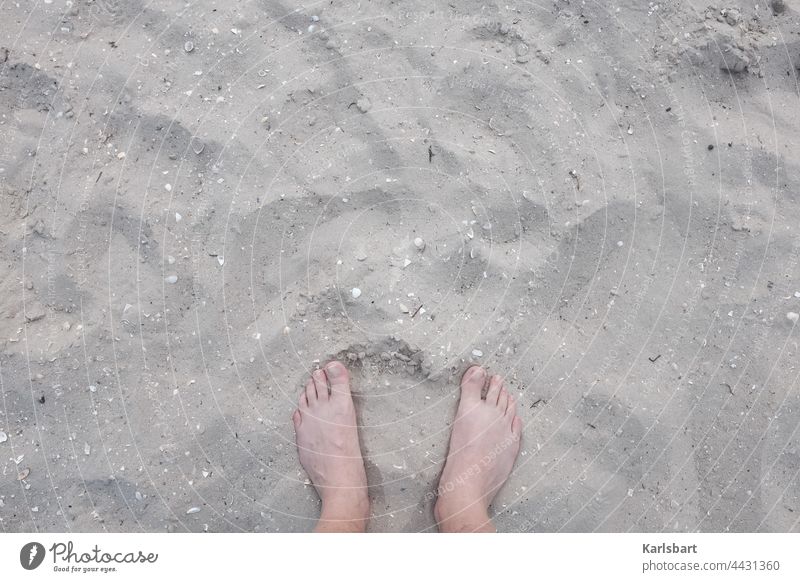 Füße in den Sand strecken Füße hoch Strand Sommer Fuß Barfuß Erholung Zehen Ferien & Urlaub & Reisen Küste Sommerurlaub Sandstrand Sonne Farbfoto Außenaufnahme