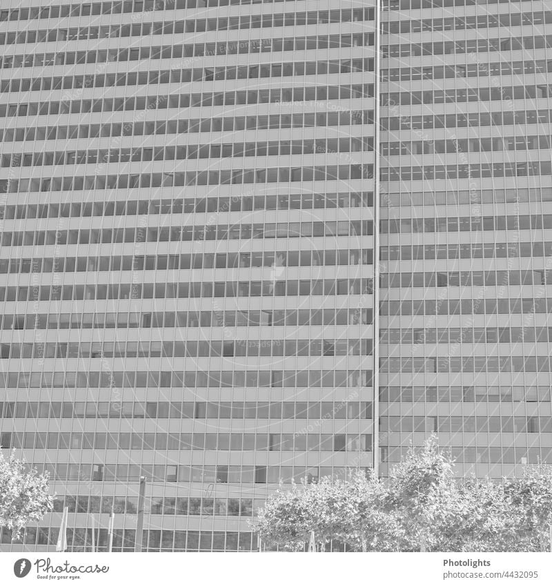 Fasade eines Hochhauses in Schwarzweiß Schwarzweißfoto grau Fassade Fenster Architektur Gebäude Haus Stadt Außenaufnahme Menschenleer Tag Bauwerk trist Wand