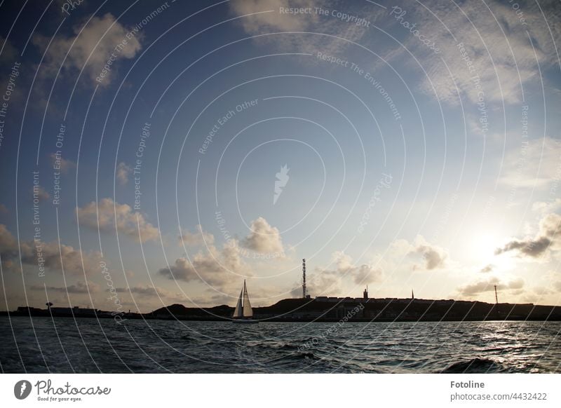 Ein Segelboot lässt sich vor der Küste der Insel Helgoland treiben. Wasser Wasserfahrzeug Segeln Himmel Meer Sommer Ferien & Urlaub & Reisen Schifffahrt