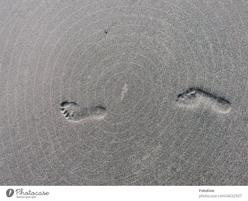 Spuren im Sand am Strand Fußabdruck Fußspur Fußspuren Außenaufnahme Tag Menschenleer grau Strandsand Tageslicht Detailaufnahme detailliert