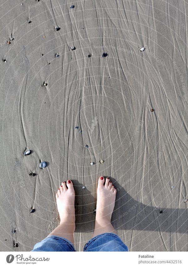 Barfuß auf Schatzsuche am Strand auf der Düne von Helgoland. Stein Kieselsteine Steinchen Priel grau Nahaufnahme Sand Farbfoto Außenaufnahme Muster natürlich