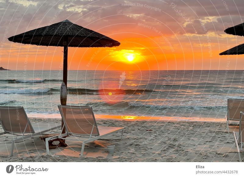 Liegestühle mit Sonnenschirmen am leeren Strand bei Sonnenaufgang Sommer Urlaub Meer Urlaubsstimmung Sandstrand morgens Menschenleer Erholung Himmel Landschaft