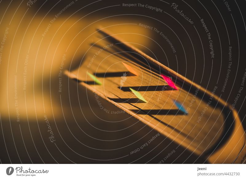 Altes Buch im Abendlicht Sticky Notes sticky post it alt Licht Lichteinfall Papier Sonnenlicht lesen Bibliothek Literatur Bildung Wissen Roman lernen Studium