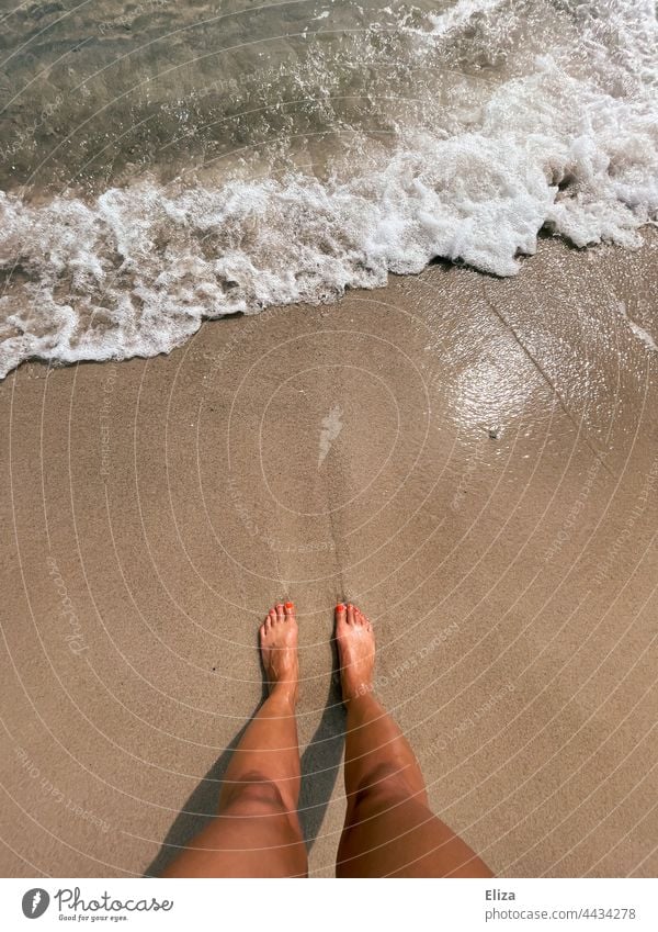 Nackte Füße im Sandstrand am Meer Beine Strand nackt Barfuß Urlaub Welle Sommer Frau Wasser Sommerurlaub stehen Ferien & Urlaub & Reisen Nass Sonnenlicht