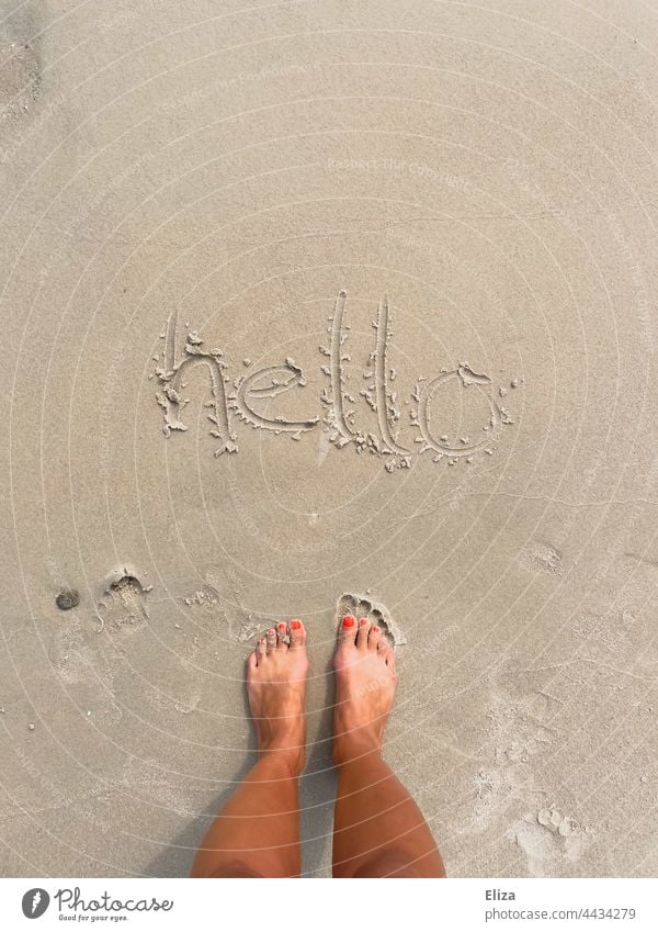 hello in den Sand am Strand geschrieben hallo Begrüßung Urlaub Füße Ferien Sandstrand Außenaufnahme Barfuß Sommer Frau Sommerurlaub Wort