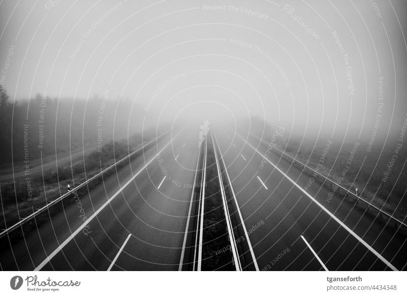 Autobahn im Nebel leer Straße Landschaft Asphalt Verkehr reisen Nebelstimmung Nebelwand morgens Morgennebel Morgenstimmung Menschenleer Außenaufnahme ruhig