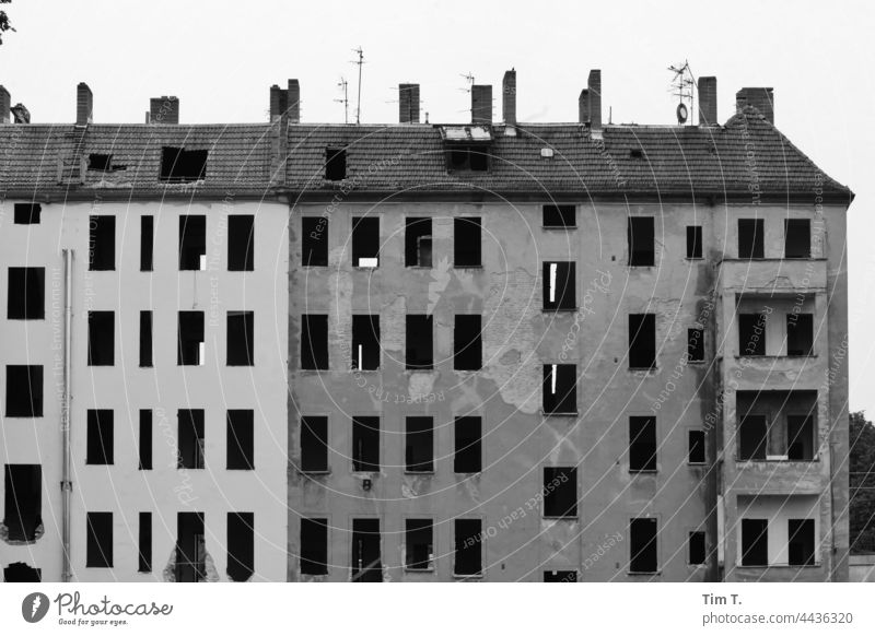 ein Altbauhaus, in dem alle Fenster entfernt wurden, steht Blind da Treptow köpenick s/w Schwarzweißfoto Architektur Tag Gebäude Außenaufnahme Menschenleer