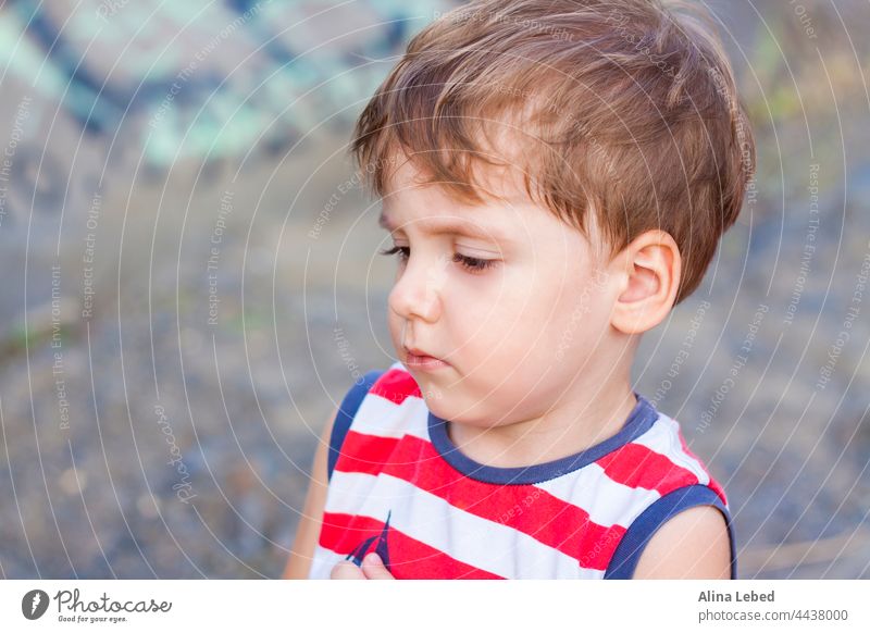 Porträt eines kleinen Jungen, der ein seltsames Gesicht macht. Kind vereinzelt schreit wenig Menschen verängstigt Hintergrund schön Schönheit Verhalten blond