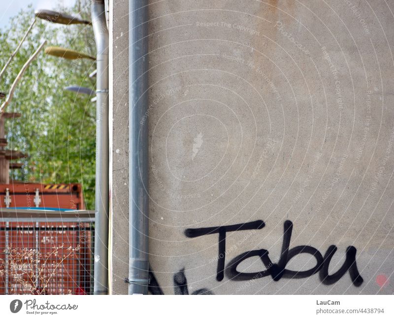 Tabu - Graffiti an einem leerstehenden Haus Schrift Schriftzeichen Gebäude Wand Buchstaben Leerstand Wohnungsbau Wohnungsnot Verfall verfallen